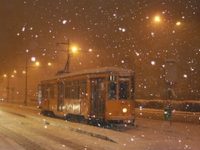 Due campanelline sul tram: il racconto della settimana del maestro Carosi