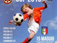Calcio giovanile, grande entusiasmo per la Calcinate Cup 2015