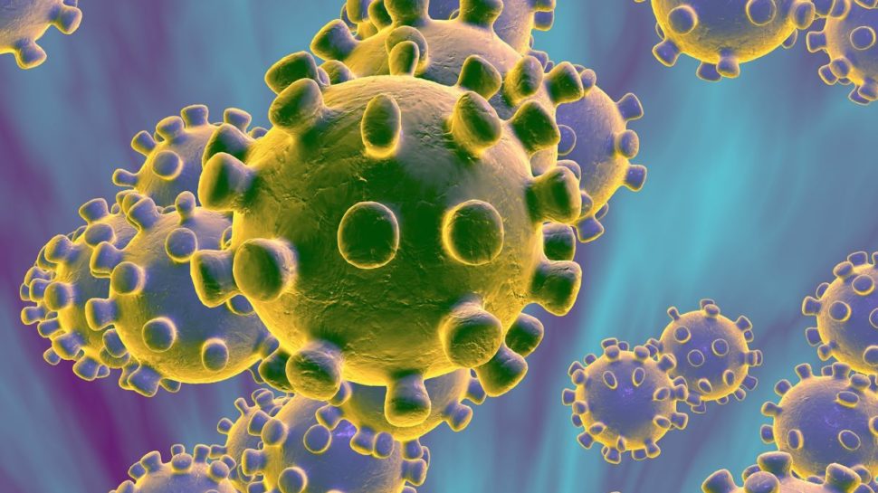 I suggerimenti della FMSI per evitare la diffusione del coronavirus negli impianti sportivi