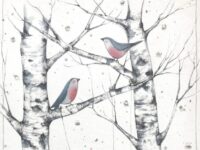 La favola di Natale: la casina di via Bicocca, fatta di sogni e di carta di giornale, sospesa tra le nuvole grazie a due uccellini