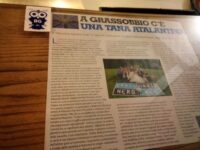 Da Carrera ad ATA: 22 anni della Tana Atalantina a Grassobbio (con una maglia del Brescia)