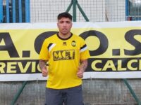 UFFICIALE – Nicholas Sciortino è un nuovo giocatore dell’Acos